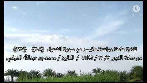 تلاوة هادئة ورائعة لما تيسر من سورة الشعراء من صلاة الفجر  ٧/ ١٢ / ١٤٤٢ه للقارئ / محمد الديلمي