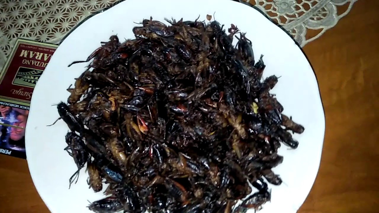 jangkrik goreng
