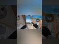 Топ 3 молика на карте ханами #standoff2 #стандофф2 #so2