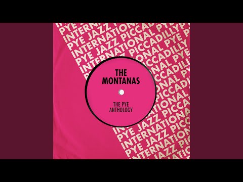 Montanas — Anyone There?