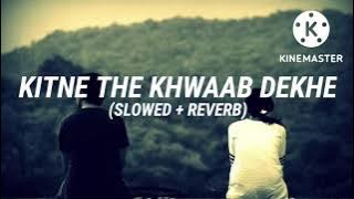 Kitne The Khwaab Dekhe (Slowed   Reverb) Use headphones