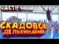 Скадовский Дельфинарий &quot;Акварель&quot; 2017 | Последняя 4 часть | HD