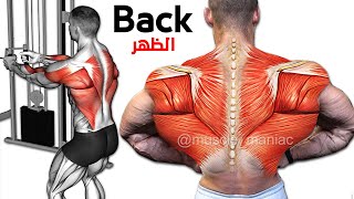 How To Build Your Back Workout - فجر عضلة الظهر 8 تمارين رائعة كمال الاجسام