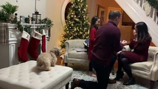 Surprise Christmas Eve Proposal