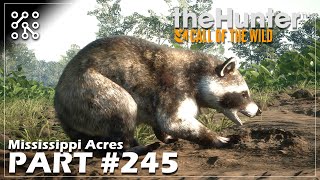 Mýtické trofeje na mapě MISSISSIPPI #245 | The Hunter: Call of the wild CZ | Lets play | Česky