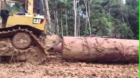 CAT D6R XL using winch pulling Big and Heavy Log part 01