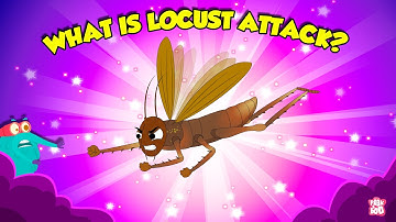 Are Locusts Dangerous? | What is Locust Infestation? | How Locust Destroy Crops? | Dr. Binocs Show