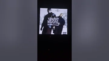 Naughty By Nature - Icons