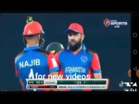 شفيق الله شفق لوړه شپږيزه