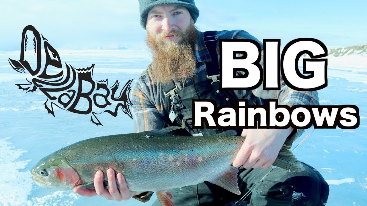 Ice Fishing with FROSTBITE rods BIG Rainbow Trout YouTube