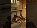 cat and dog #kucing #kucingimut #kucinglucu