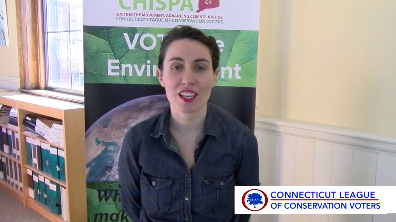 CTLCV 2018 Environmental Summit: Amy Merli