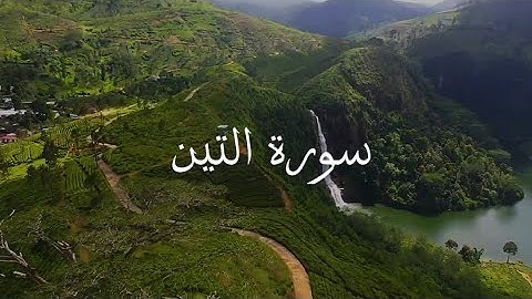 القران الكريم🔊 سورة التين 🌑 القارئ عبدالله خلف من❤️ افضل تلاوة للقران الكريم🤍 #القرآن🤍