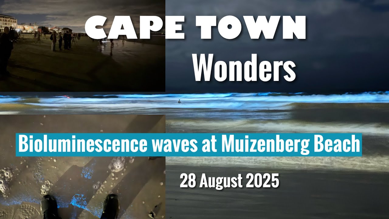Bioluminescent waves at Muizenberg beach 28 August 2025 YouTube