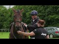 Land Rover Burghley 2015 Groom’s View