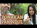 Pak Ndul - PONAKAN PAK NDUL