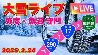 大雪ライブ 新潟県 弥彦→魚沼 守門→三国峠・苗場・越後湯沢駅（国道290号線→国道252号線→国道17号線→関越自動車道）2025.2.24【ぴかーど47at】