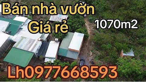 Chủ quá khó khăn nợ nần chồng chất gia cảnh khó khăn cần bán gấp lô đất nhà vườn trái cây để trả nợ
