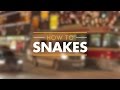 How to snakes location