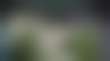 Weed Laboratory - FiveM Script [QBCore, QBox, ESX]