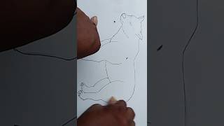 Bear  Drawing Bhalu chitra #shorts video