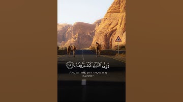 #عبدالرحمن_مسعد   أفلا ينظرون إلى الابل كيف خلقت تلاوة خاشعة ومؤثرة للشيخ عبدالرحمن مسعد