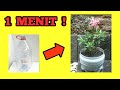 Hanya 1 menit  tutorial membuat pot dari galon le minerale