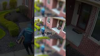 This Amazon driver deserves a raise (🎥: u/247safetypal)