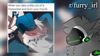 r/furry_irl | yiff memes = funny [400 SUBS SPECIAL]