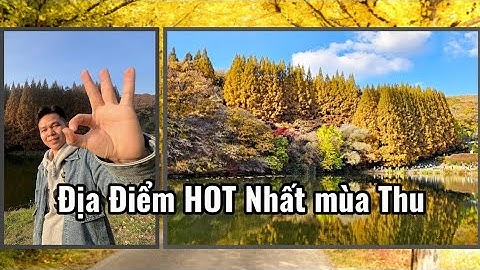 Hàn Quốc| Đi xem địa điểm mọi người hay chụp ảnh đăng facebook xem có gì 명수당 (Myungsudang)