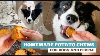 Homemade Sweet Potato Chews for Dogs and People