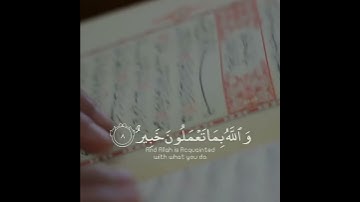 تلاوة هادئة تريح الأعصاب 😴🎧 | القاريء صلاح الباجي - سورة التغابن 🤍🌥️."