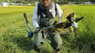 『MUR369×35cmフリー刃』の畦草刈り動画