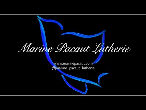 Marine Pacaut Lutherie - Cast Away (test de la guitare the Tribute) @marine.guitars