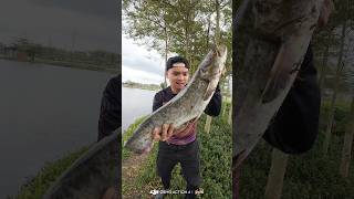 "Iron fish" sinking to bottom this is Cat fish #fishingvideo #lurefishing #fishing #ironfish