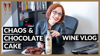 Chaos theory and chocolate cake? a wine vlog about vineyard terroir
the of winemaking. takes an unexpected turn when preparations a...