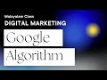 Google Algorithm Updates - Parked Domain, EMD, Pirate, Fred, Possum