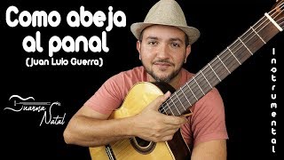 Video thumbnail of "Como abeja al panal (Juan Luis Guerra) - INSTRUMENTAL - Juanma Natal - Cover - MUSIC"