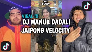 Download Mp3 DJ MANUK DADALI JAIPONG VELOCITY VIRAL TIK TOK TERBARU  Gudang lagu Download Mp3 DJ MANUK DADALI JAIPONG VELOCITY VIRAL TIK TOK TERBARU