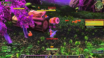 WoW Leveling Guide 1-100 in just 2 days! -   Horde and Alliance