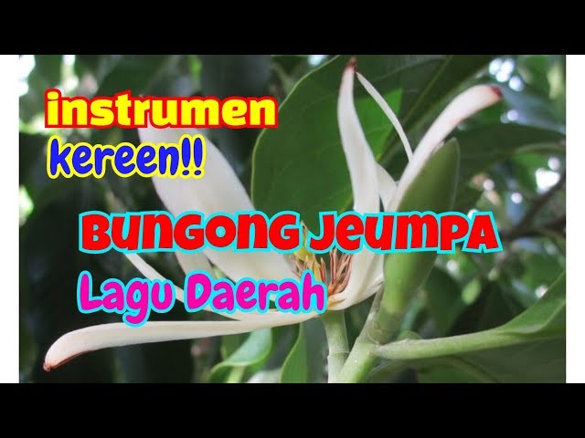 INSTRUMEN / KARAOKE BUNGONG JEUMPA class=