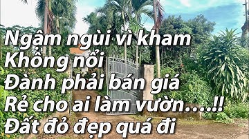 Anh Nam...! Không kham nổi mảnh đất tại bà rịa vũng tàu đành phải bán gấp để trang trại công việc