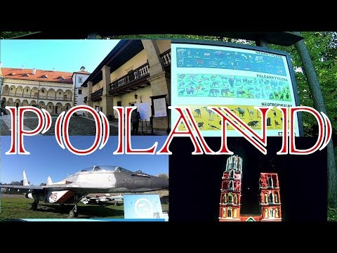 Trip to Poland.  Niepolomice and Krakow 🇵🇱