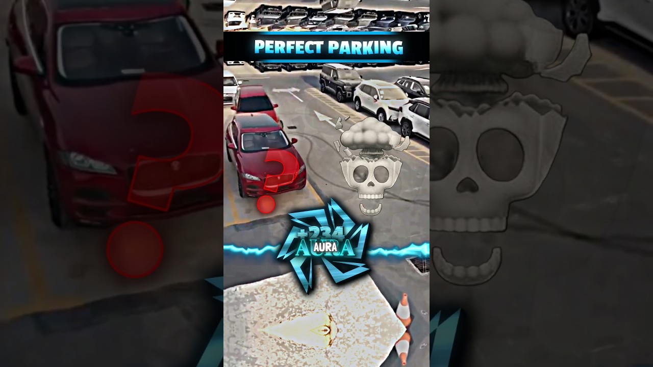 Perfect Parking 💀