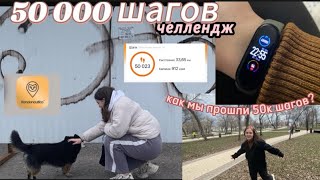 мы прошли 50 000 шагов за день и вот, что произошло…/ пятьдесят тысяч шагов челлендж /влог