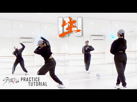 Stray Kids - 'Back Door' - Dance Tutorial - Slowed Mirrored