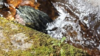 Minakami , Gunma , A Season, Spring Comes. , Cherry Tree , Spring , Cherry