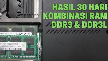 30 Hari Pakai Ram DDR3 dan DDR3L