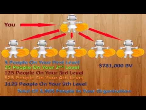 MLM Payplans - Binary vs Unilevel