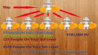 MLM Payplans - Binary vs Unilevel